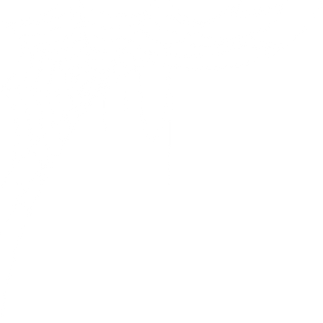 Spider Web Cobweb