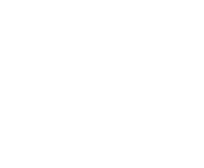 Spider Web